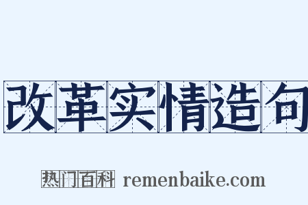 改革实情造句是什么意思的图片